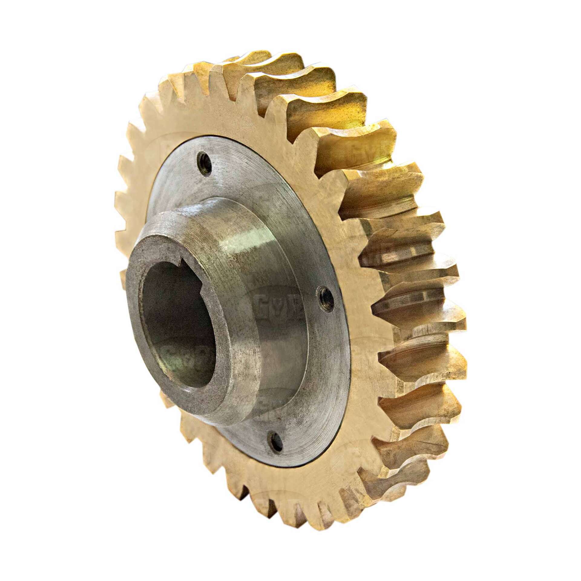 Descripción de la imagen 3